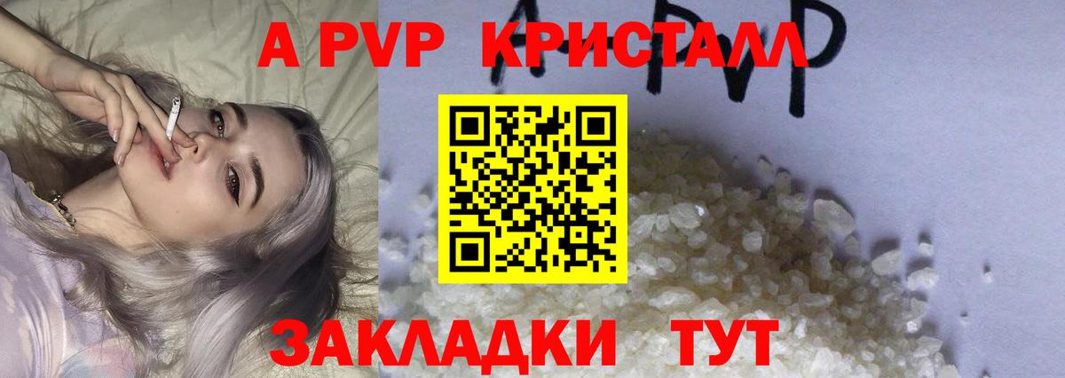 Alpha PVP СК КРИС Нальчик