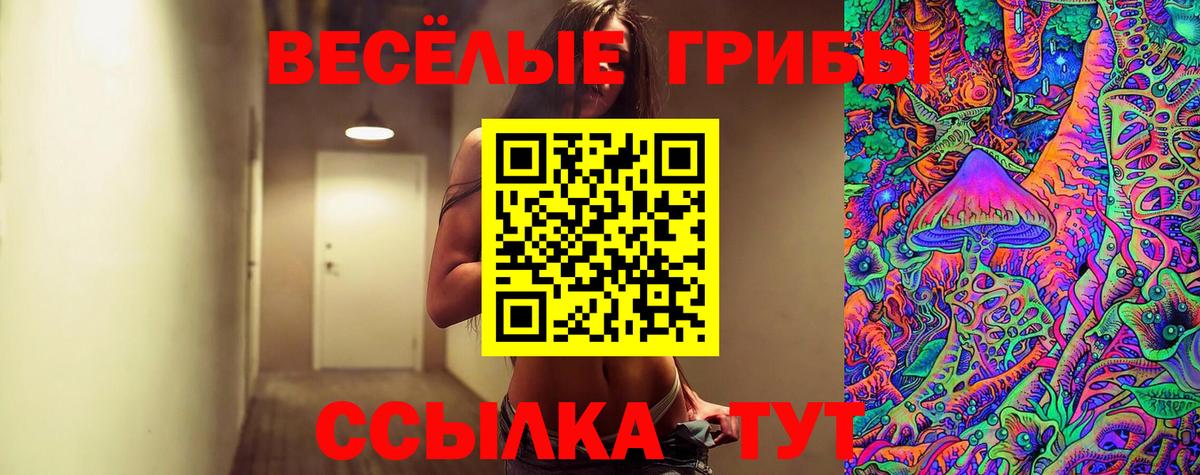 Галлюциногенные грибы Psilocybe  Галлюциногенные грибы GOLDEN TEACHER  Вход с VPN  Нальчик 