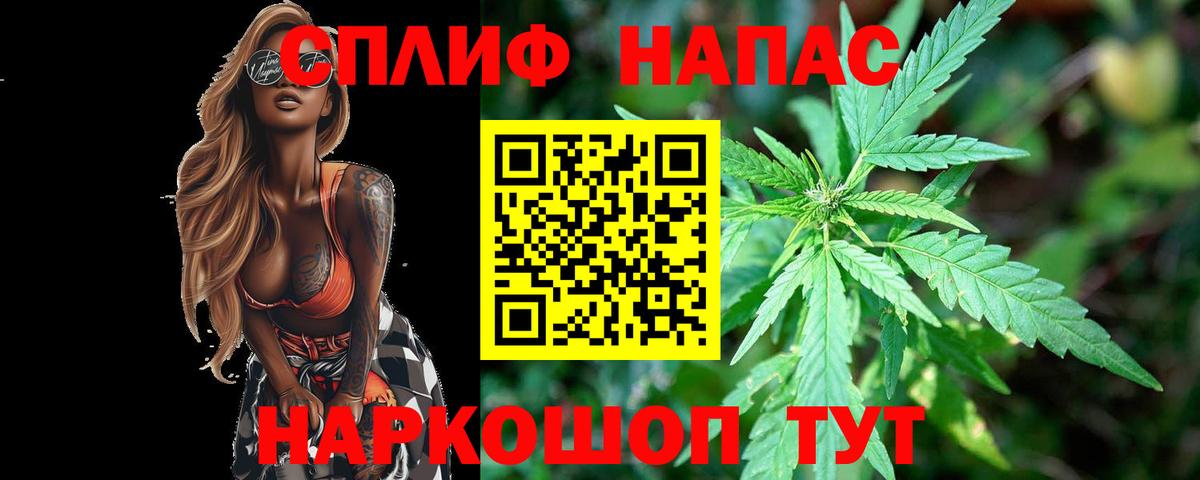 Бошки марихуана OG Kush Нальчик